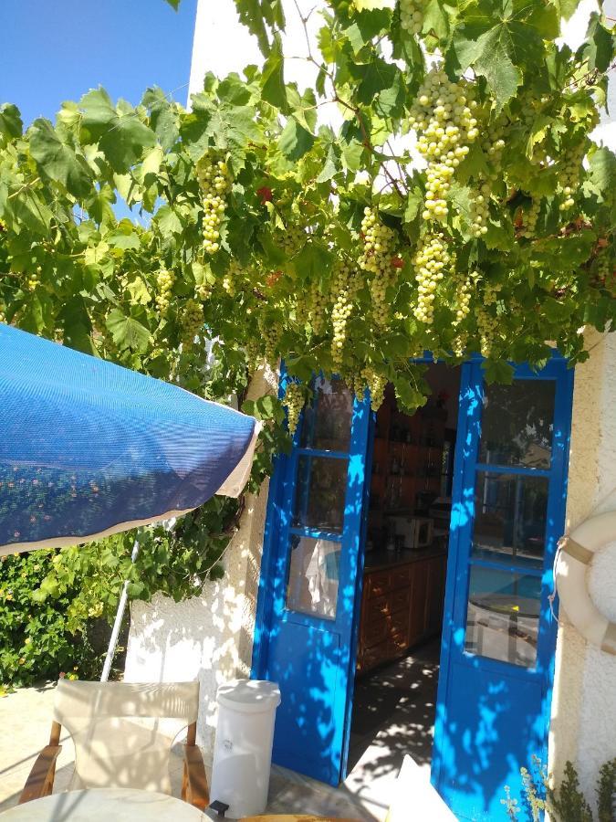 Creta Sun Hotel Studios Agia Pelagia Dış mekan fotoğraf