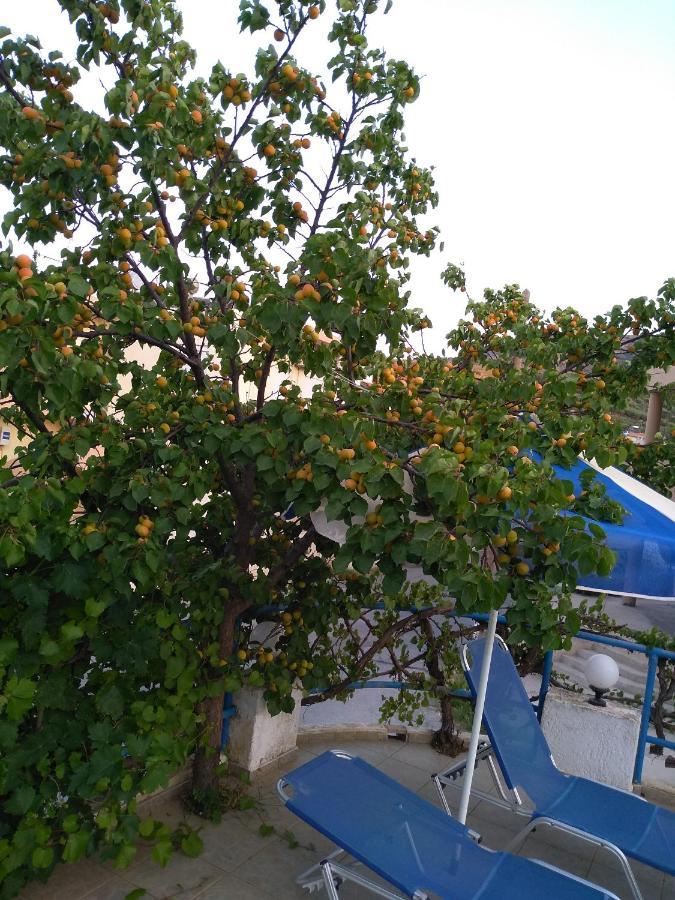 Creta Sun Hotel Studios Agia Pelagia Dış mekan fotoğraf