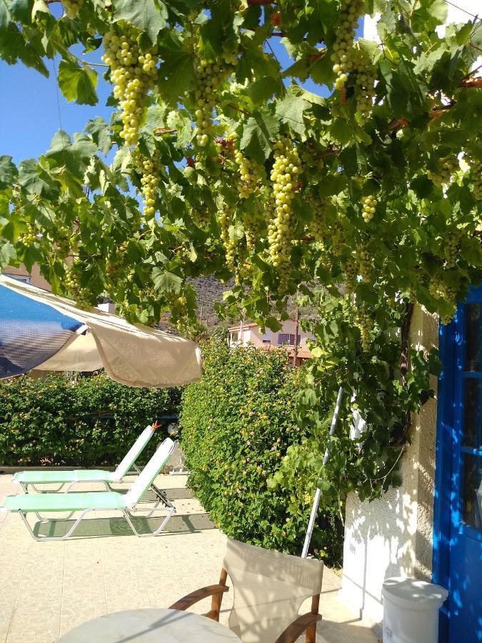 Creta Sun Hotel Studios Agia Pelagia Dış mekan fotoğraf