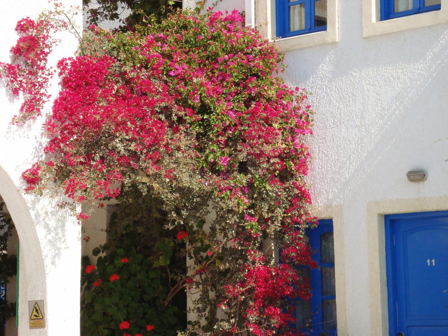 Creta Sun Hotel Studios Agia Pelagia Dış mekan fotoğraf